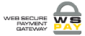 web secure payment gateway